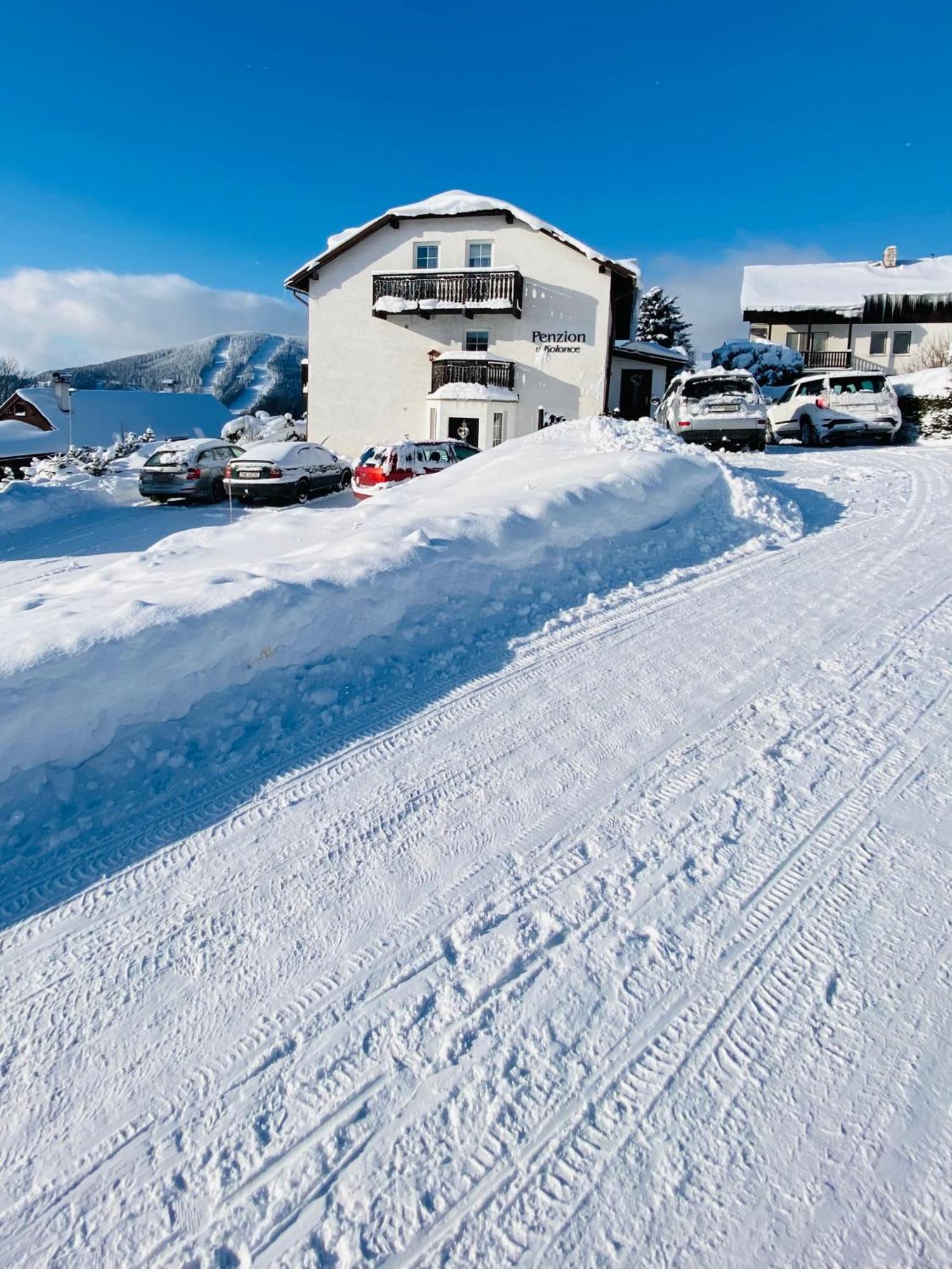 Penzion V Kolonce Strazne Bagian luar foto